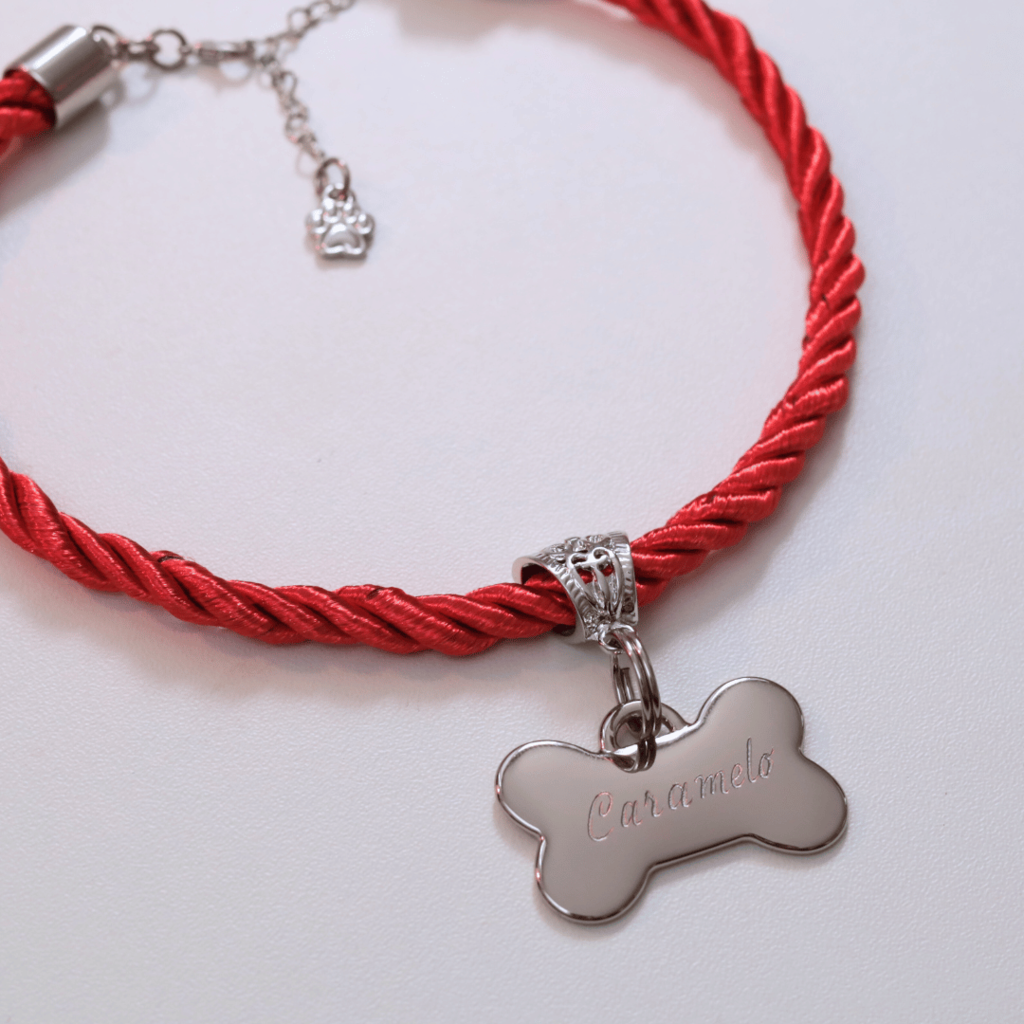 Coleira Mimo Pet com Plaquinha de Identificação Personalizada - Vermelho