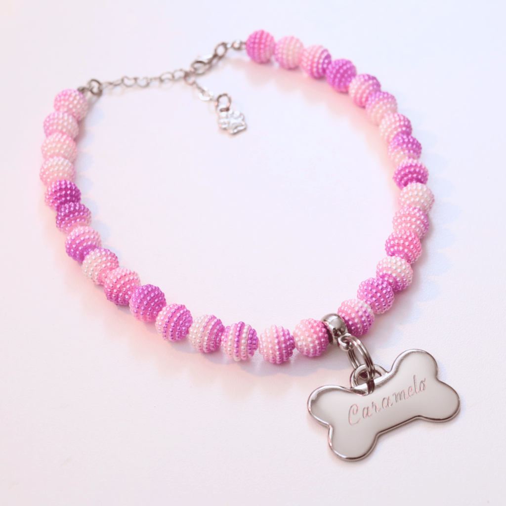 Coleira Glamour Pet com Plaquinha de Identificação Personalizada - Rosa e Roxo