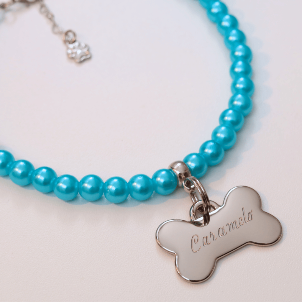 Coleira Charm Com Plaquinha de Identificação Personalizada - Azul