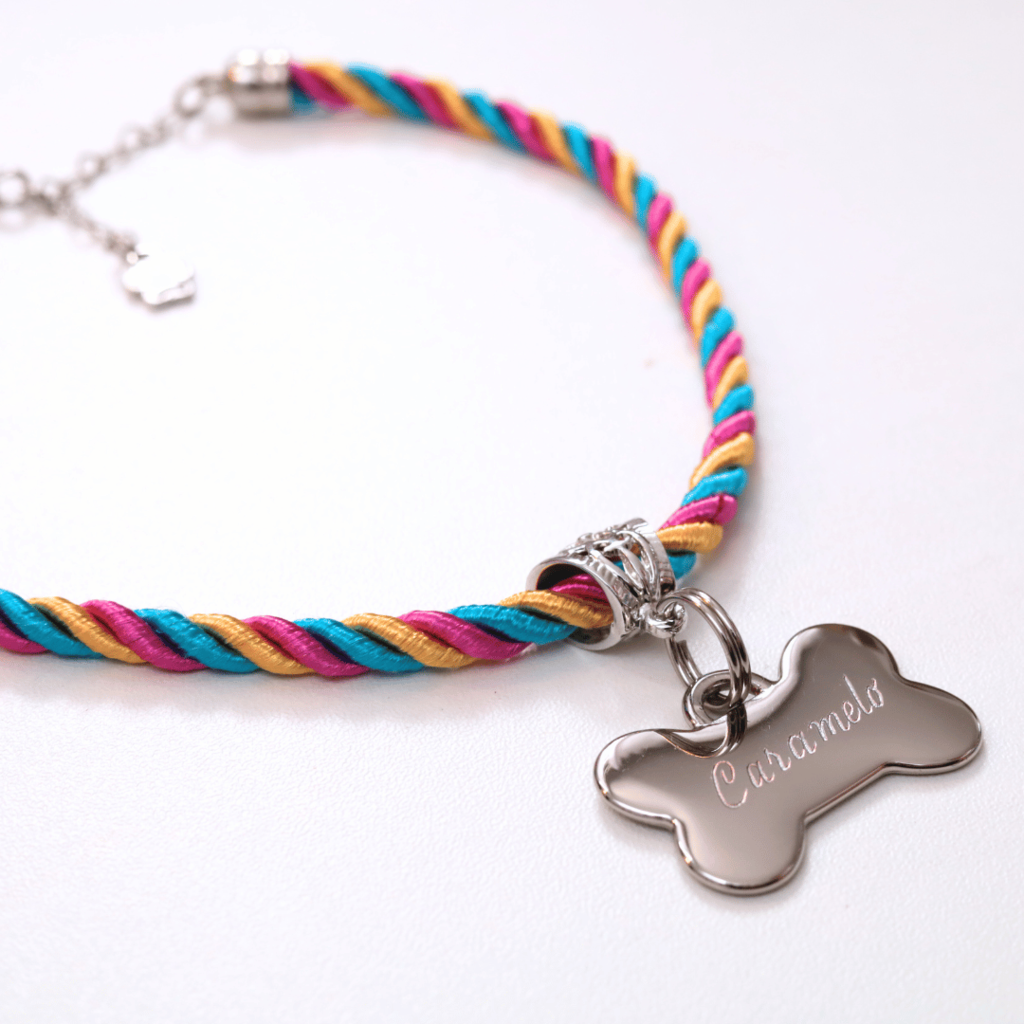 Coleira Mimo Pet com Plaquinha de Identificação Personalizada - Arco-íris
