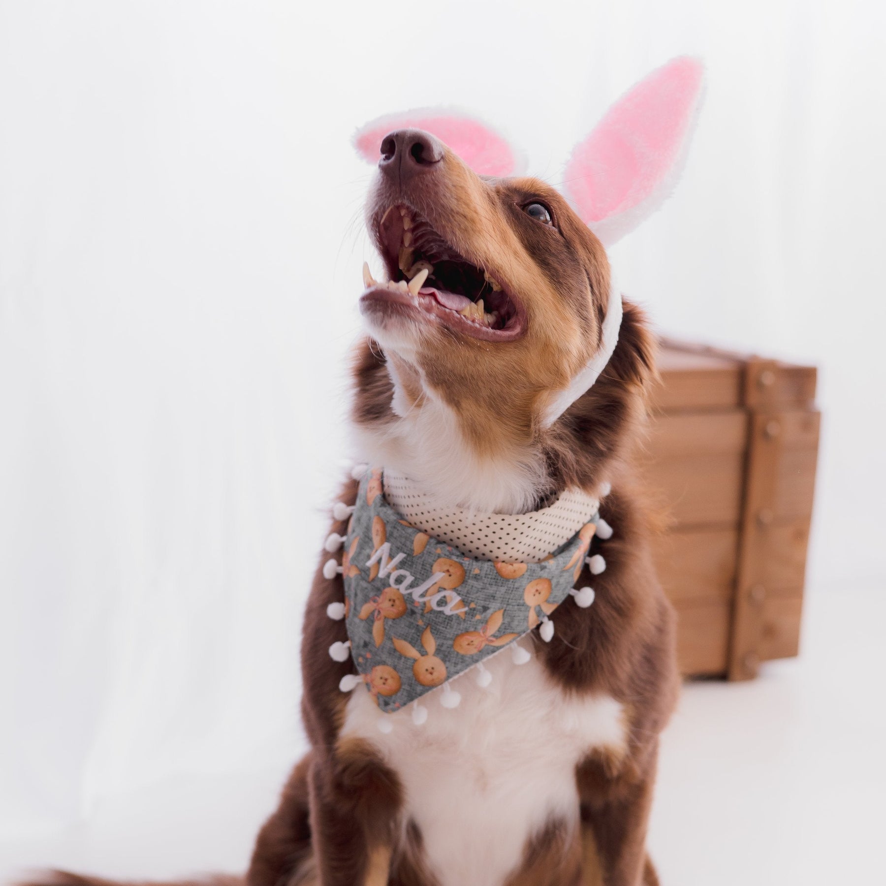 Bandana Personalizada Bunny - Jeans