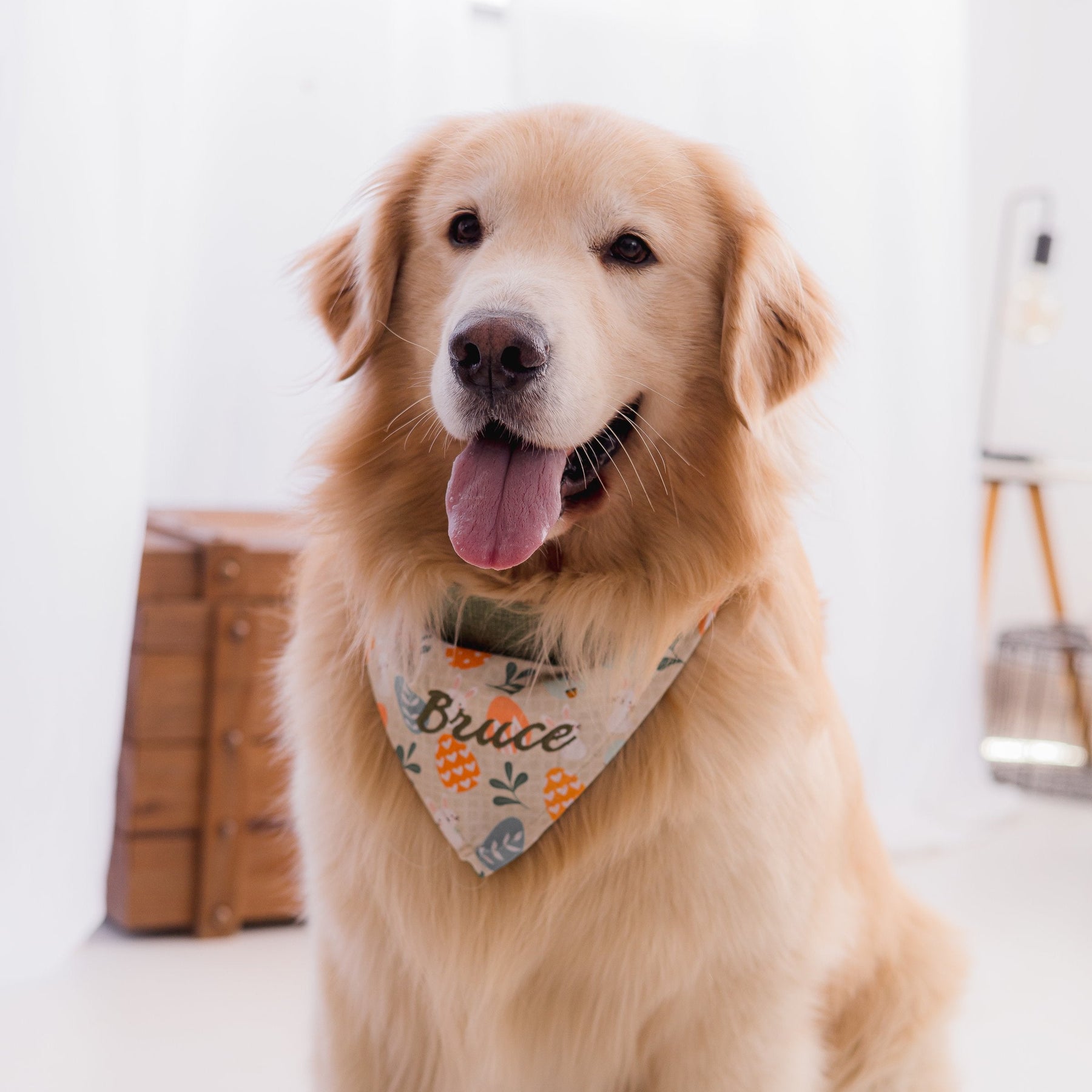 Bandana Personalizada Bunny - Ovos
