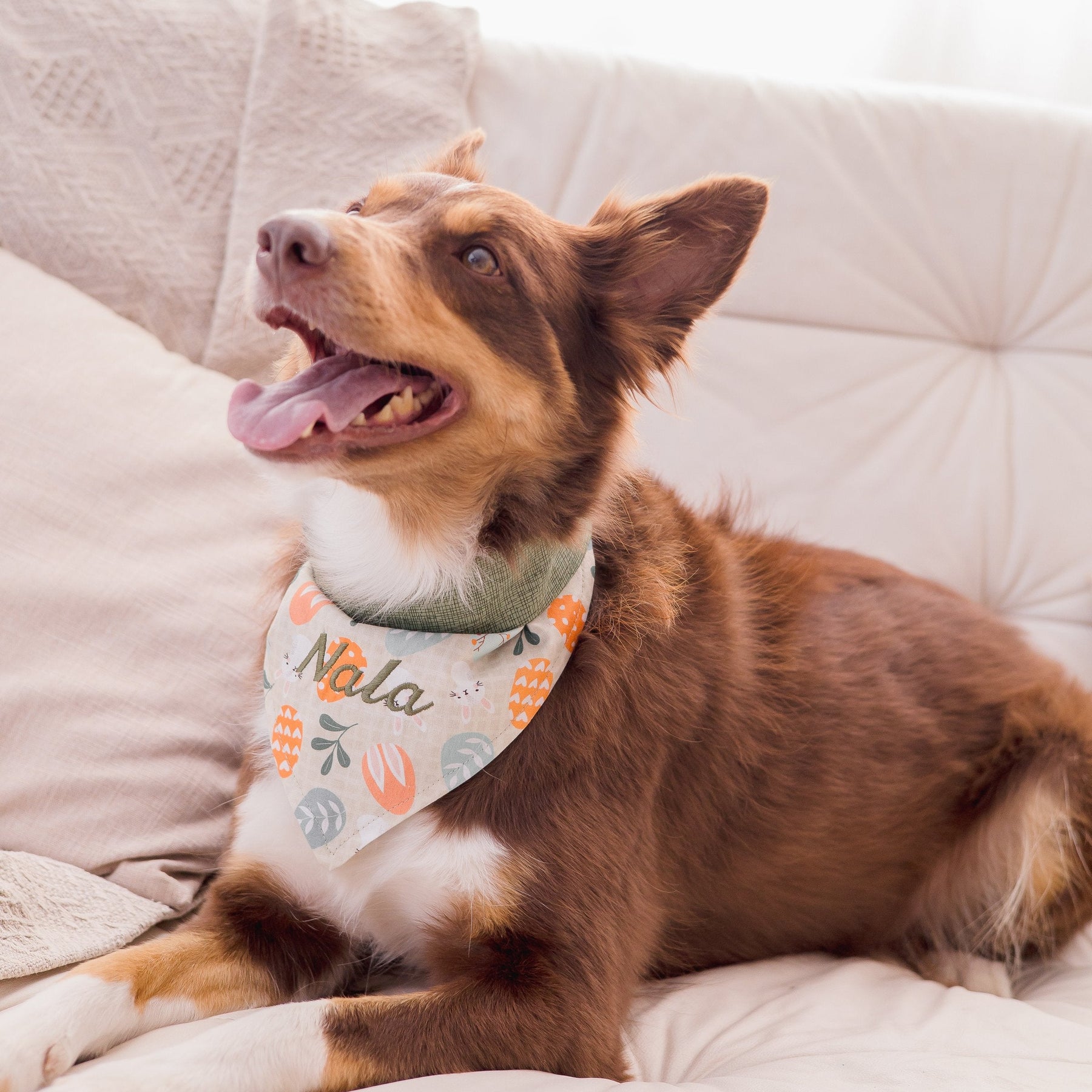 Bandana Personalizada Bunny - Ovos