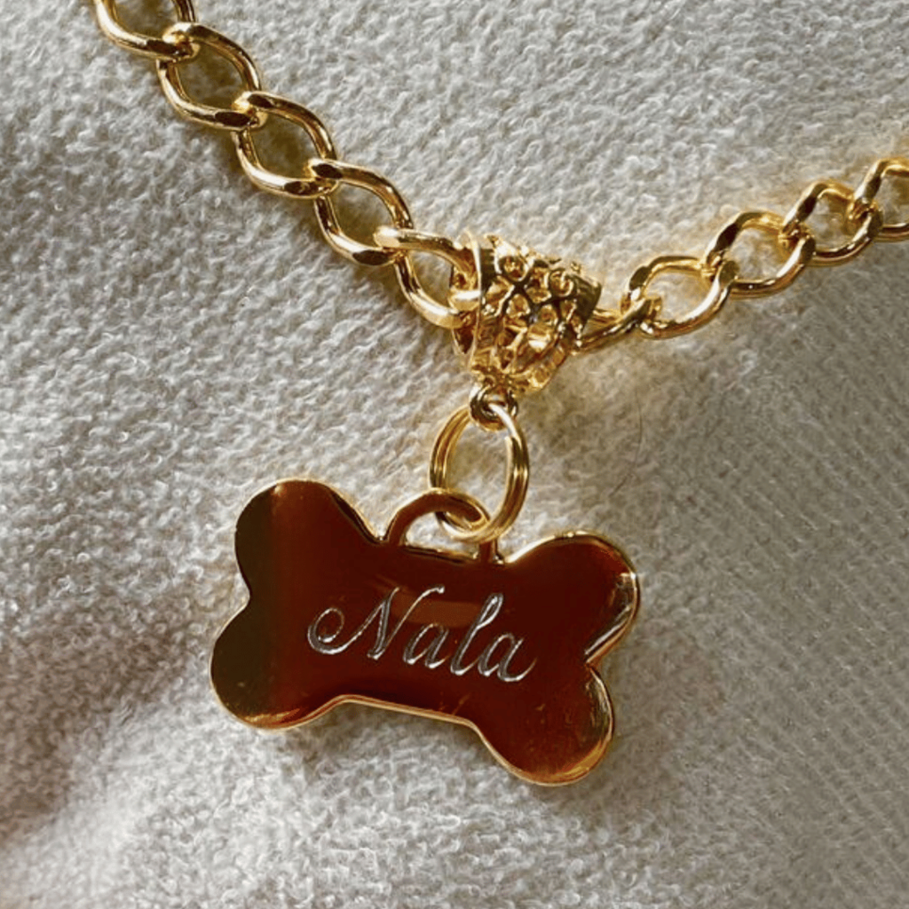 Coleira Imperial Pet com Plaquinha de Identificação Personalizada - Dourada