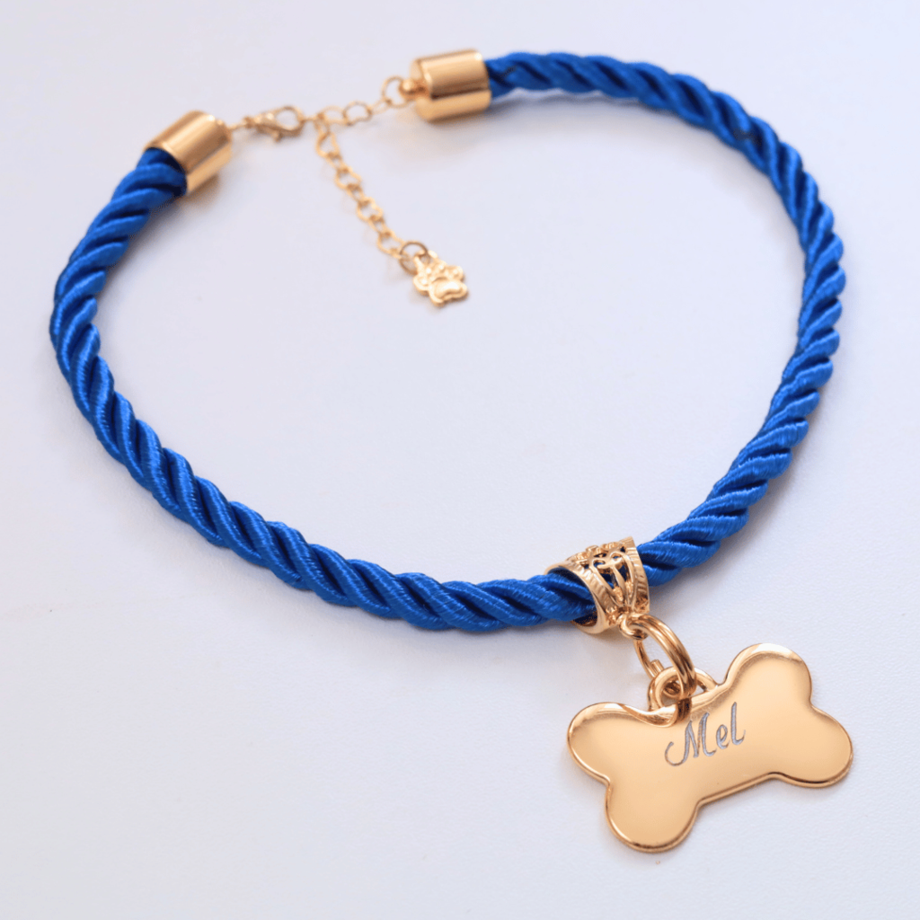 Coleira Mimo Pet com Plaquinha de Identificação Personalizada - Azul