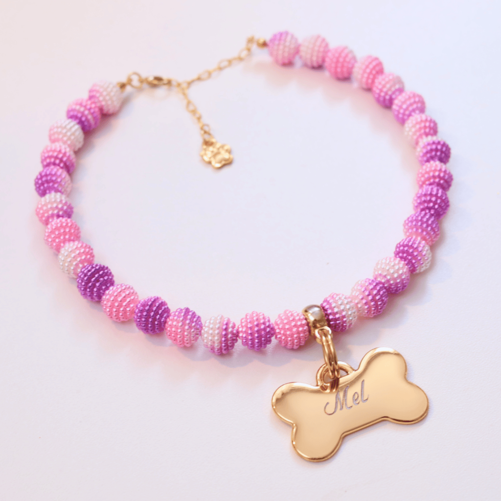 Coleira Glamour Pet com Plaquinha de Identificação Personalizada - Rosa e Roxo
