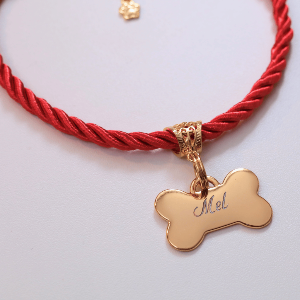 Coleira Mimo Pet com Plaquinha de Identificação Personalizada - Vermelho