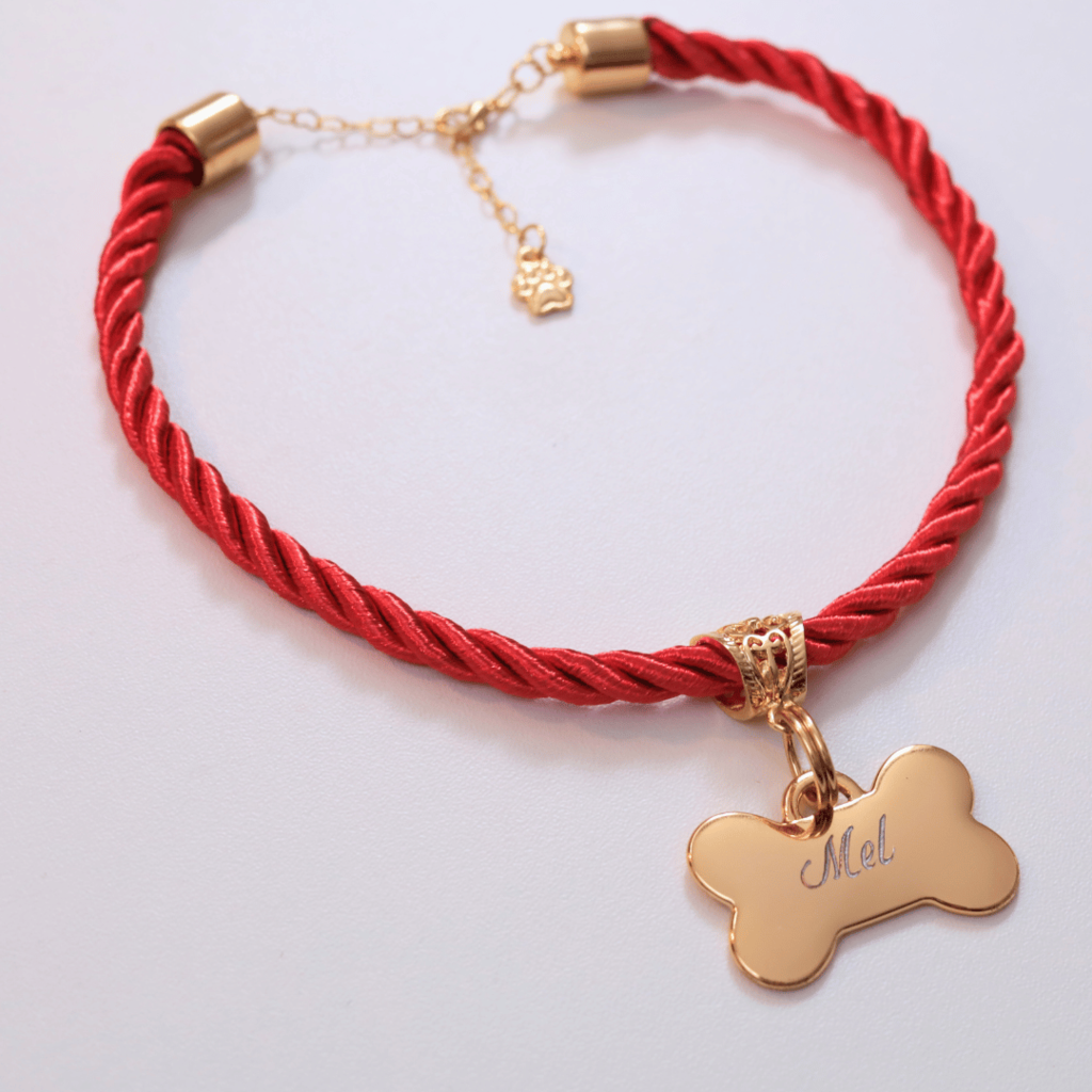 Coleira Mimo Pet com Plaquinha de Identificação Personalizada - Vermelho