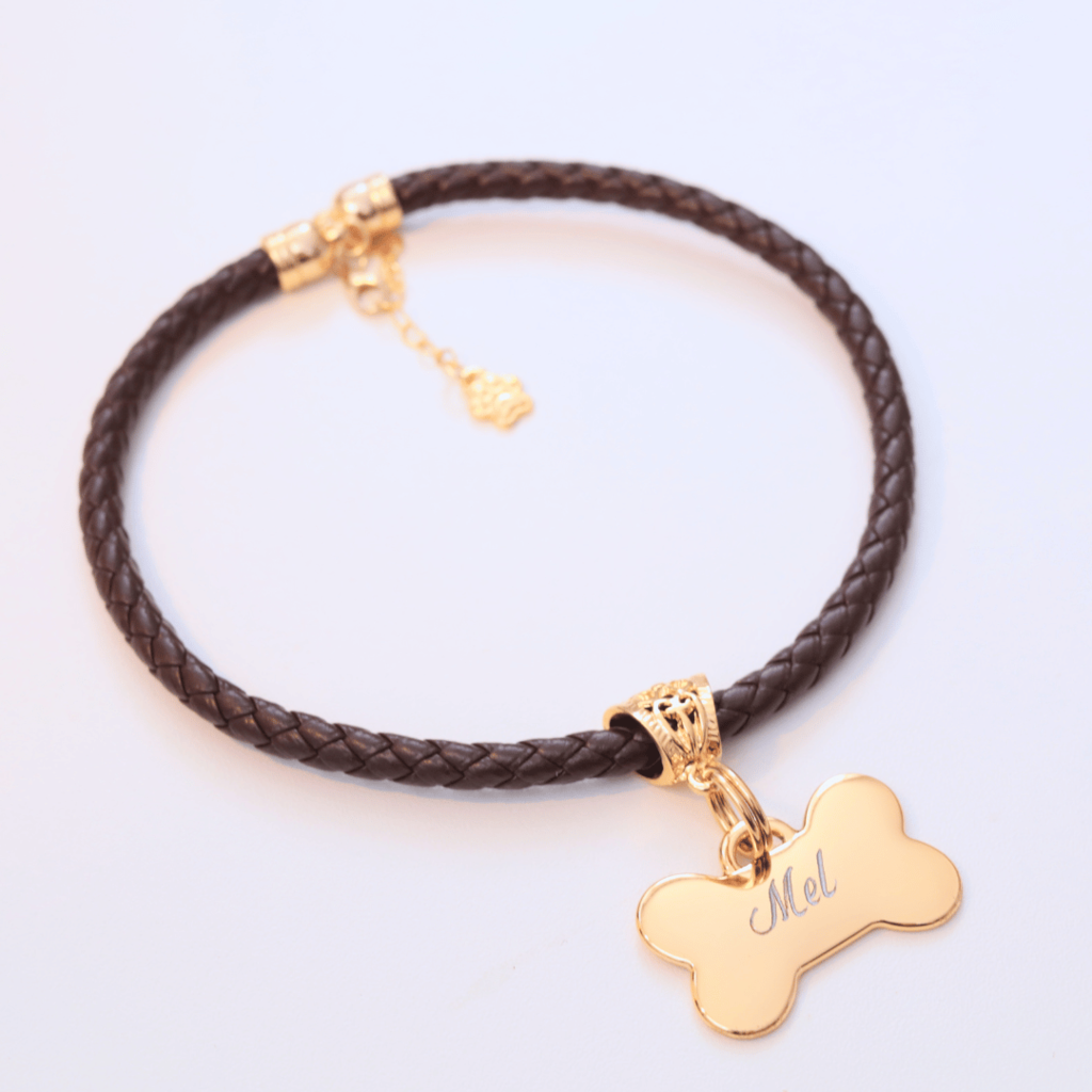 Coleira Elegância Pet com Plaquinha de Identificação Personalizada - Marrom Escuro