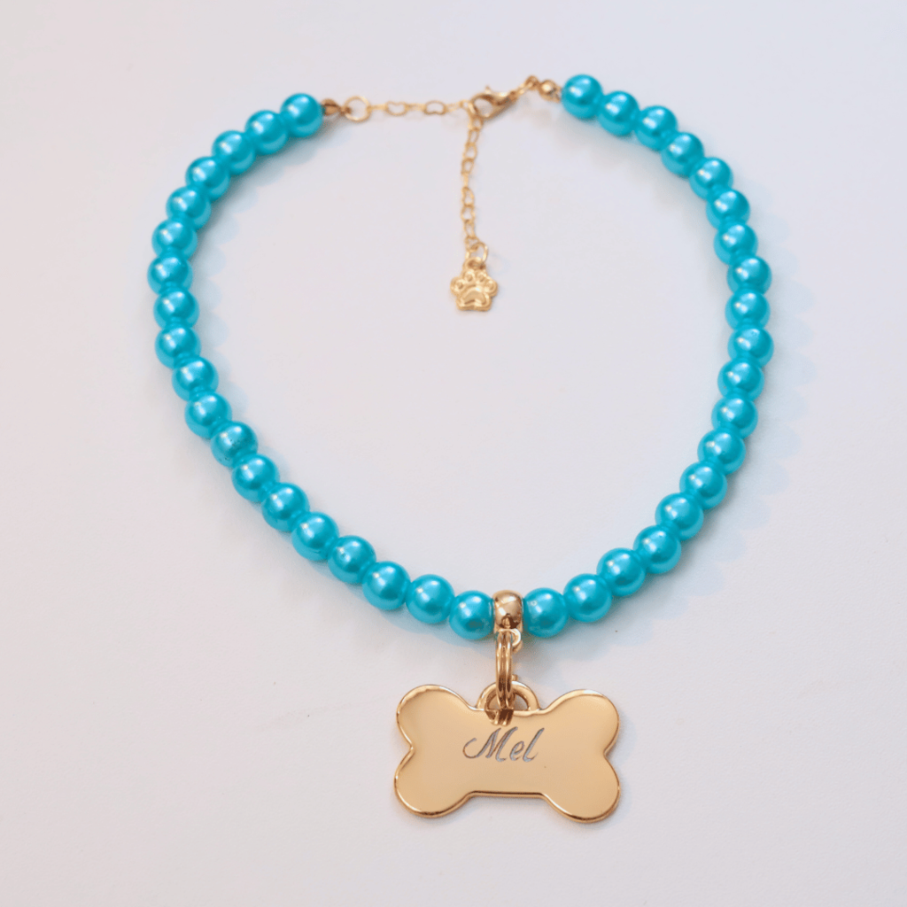 Coleira Charm Com Plaquinha de Identificação Personalizada - Azul