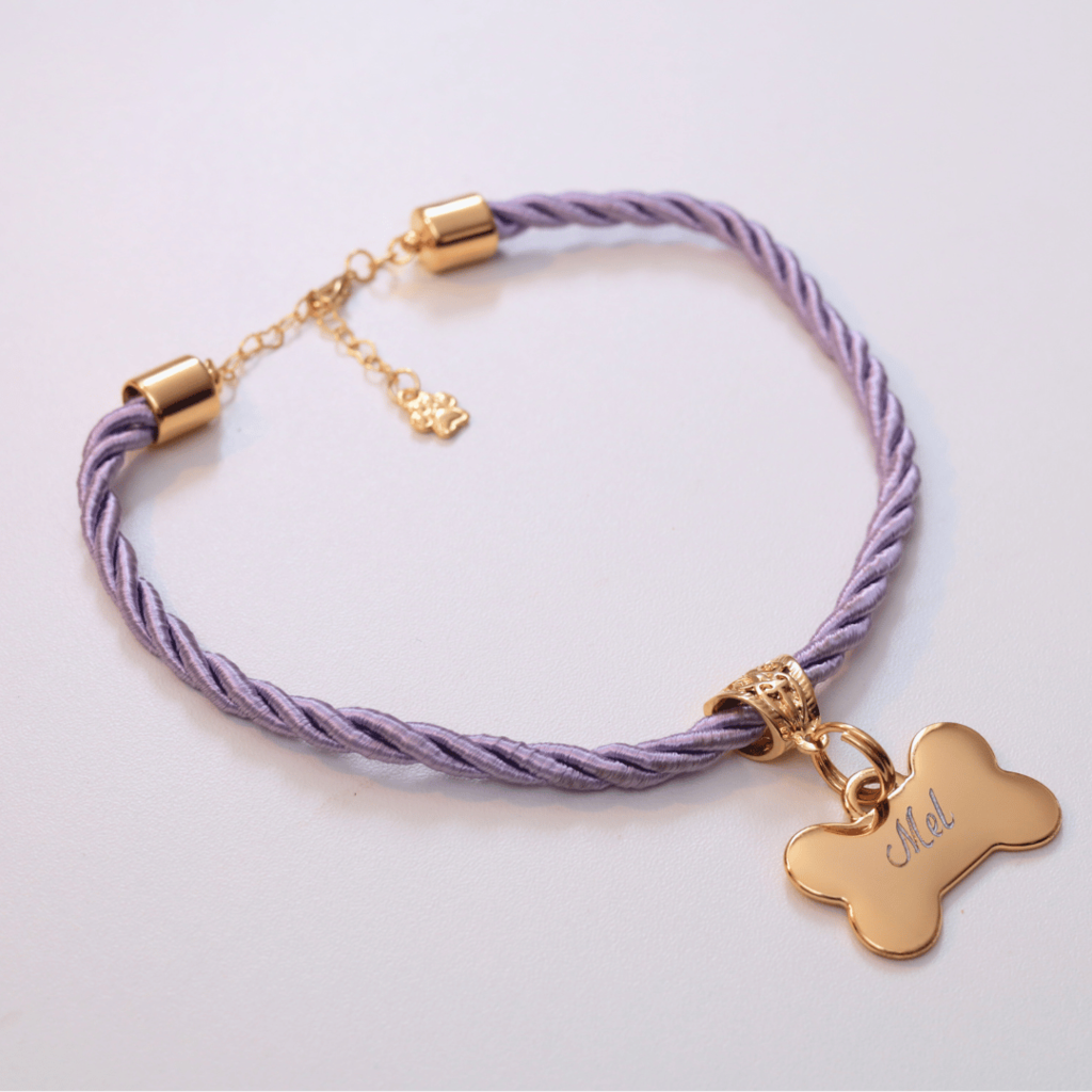 Coleira Mimo Pet com Plaquinha de Identificação Personalizada - Lilás