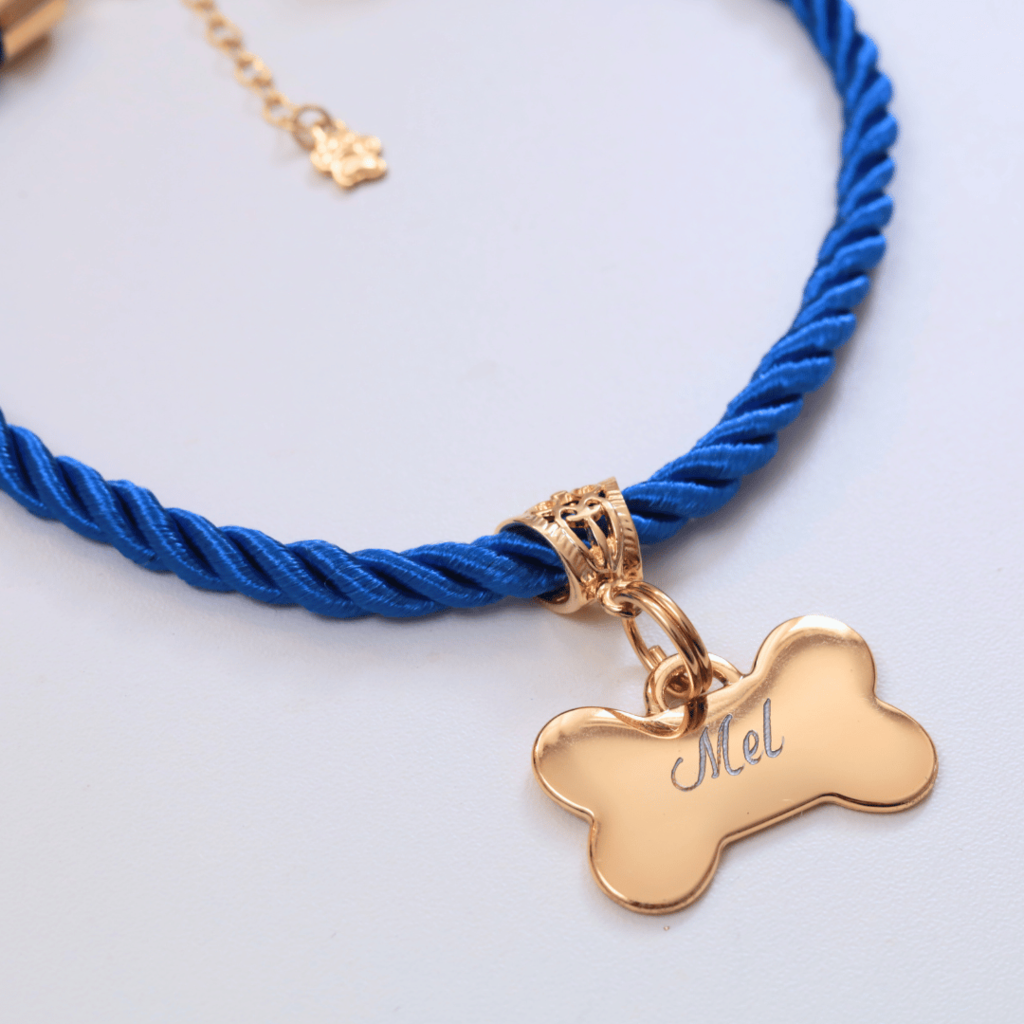 Coleira Mimo Pet com Plaquinha de Identificação Personalizada - Azul