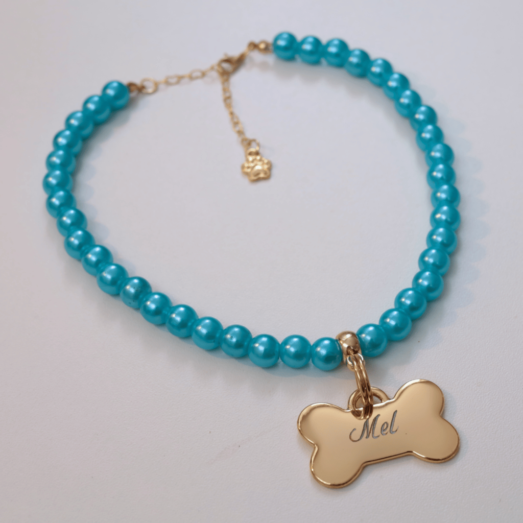 Coleira Charm Com Plaquinha de Identificação Personalizada - Azul