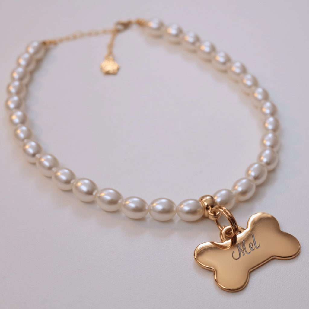 Coleira Glamour Pet com Plaquinha de Identificação Personalizada - Pérola