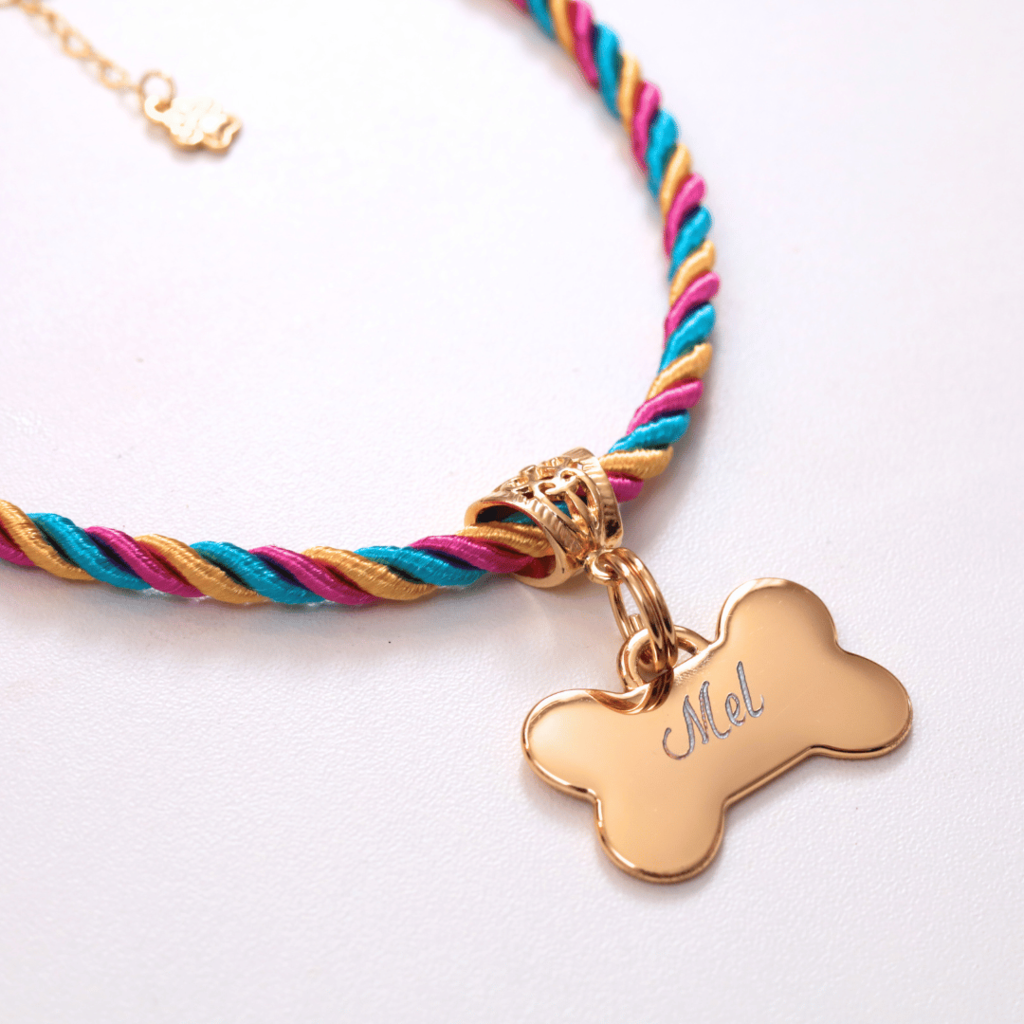 Coleira Mimo Pet com Plaquinha de Identificação Personalizada - Arco-íris