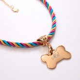 Coleira Mimo Pet com Plaquinha de Identificação Personalizada - Arco-íris